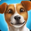 DogHotel: питомник для собак