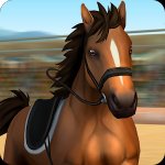 Мир лошадей – конкур: для любителей лошадей!