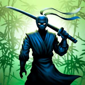 Воин ниндзя: легенда теневых файтингов